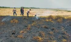 Kebakaran Hebat Mengancam Jalur Tol, Lahan 500 Meter Persegi di KM 271+200 B Berhasil Dipadamkan