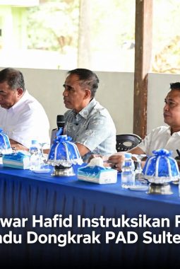 Gubernur Sulteng Bentuk Satgas Terpadu Optimalkan PAD dari Industri Morowali dan Morowali Utara