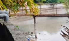 Dugaan Pencemaran Lingkungan Air Sungai di Sambu Guntung Berubah Putih Susu dan Berbusa, Kesehatan Warga Terancam
