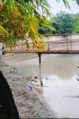 Dugaan Pencemaran Lingkungan Air Sungai di Sambu Guntung Berubah Putih Susu dan Berbusa, Kesehatan Warga Terancam