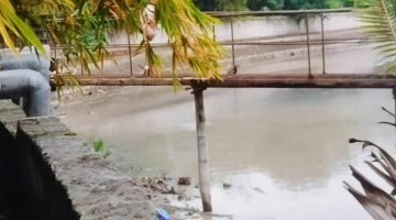 Dugaan Pencemaran Lingkungan Air Sungai di Sambu Guntung Berubah Putih Susu dan Berbusa, Kesehatan Warga Terancam