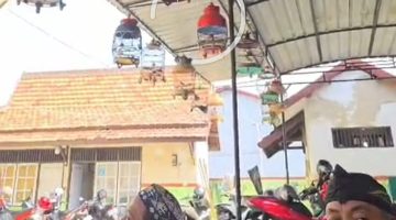 P4LSI Kabupaten Sampang Gelar Latihan Perdana di Halaman Gedung Pramuka