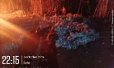Warga Sukamulya Rumpin Resah dengan Aktivitas Pembakaran Aluminium Foil, Khawatir Pencemaran dan Gangguan Kesehatan