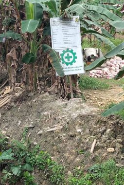 Diduga Cor Dasar Pondasi Tidak Terlihat, Proyek Perkuatan Tebing Sungai Gunungsitoli Senilai Rp579,22 Juta Dipertanyakan