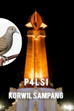 P4LSI Kabupaten Sampang Siap Populerkan Perkutut Lokal Melalui Even Rutin