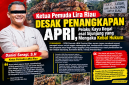 Foto ilutrasi terduga pembalakan kayu ilegal