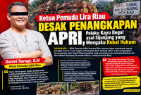 Foto ilutrasi terduga pembalakan kayu ilegal