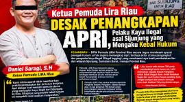 Foto ilutrasi terduga pembalakan kayu ilegal