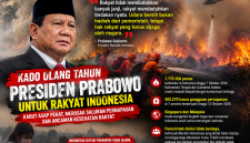 Foto Ilustrasi kebakaran hutan