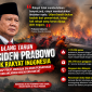 Foto Ilustrasi kebakaran hutan
